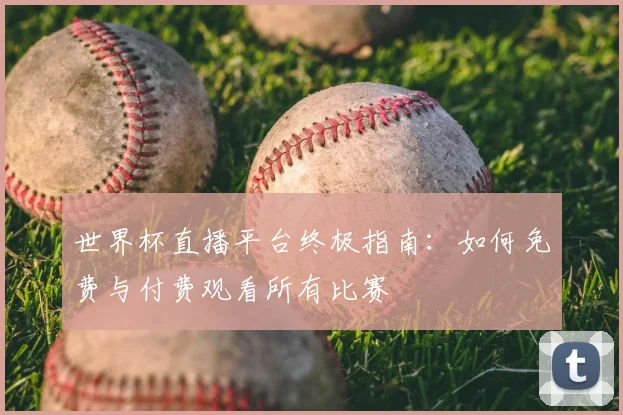 世界杯直播平台终极指南:如何免费与付费观看所有比赛