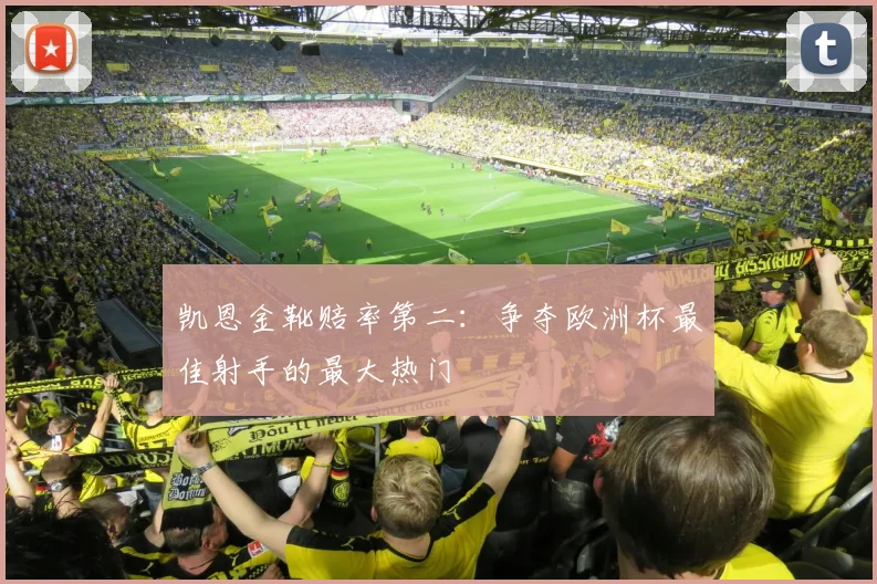 凯恩金靴赔率第二：争夺欧洲杯最佳射手的最大热门